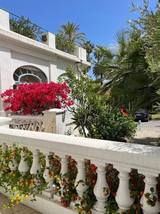 Beautiful Garden Steps From The Menton