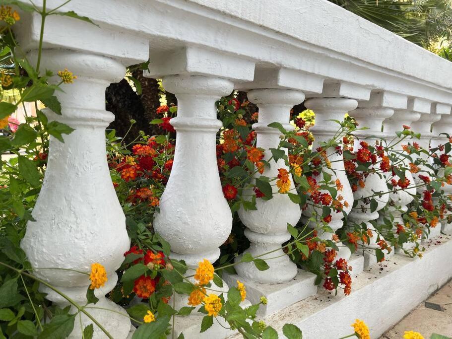 Beautiful Garden Steps From The Apartment